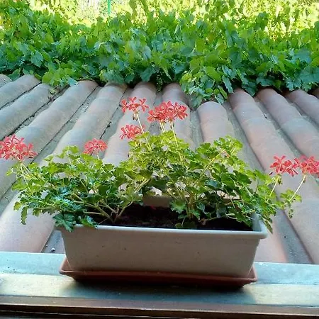 호텔 Le Provencal 3*