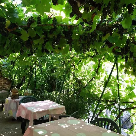 호텔 Le Provencal Le Cheylard