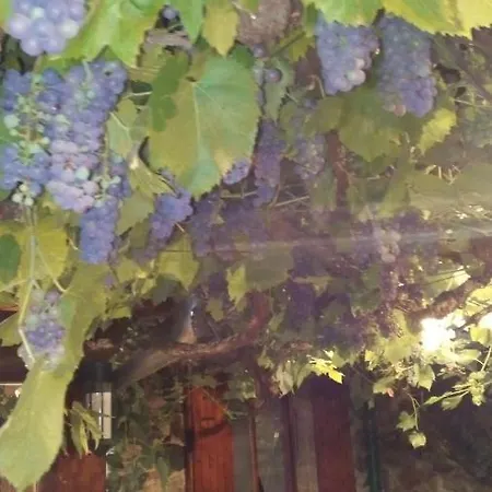 호텔 Le Provencal